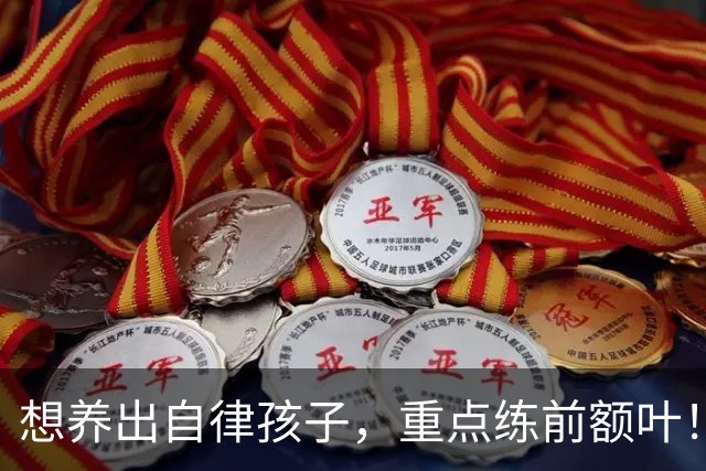 想养出自律孩子，重点练前额叶！每天4件小事，在家就能练！